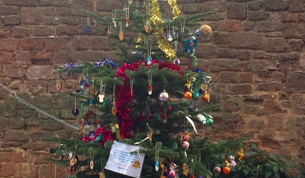 WESC Foundation tree announced as winner of Princesshay’s Charity